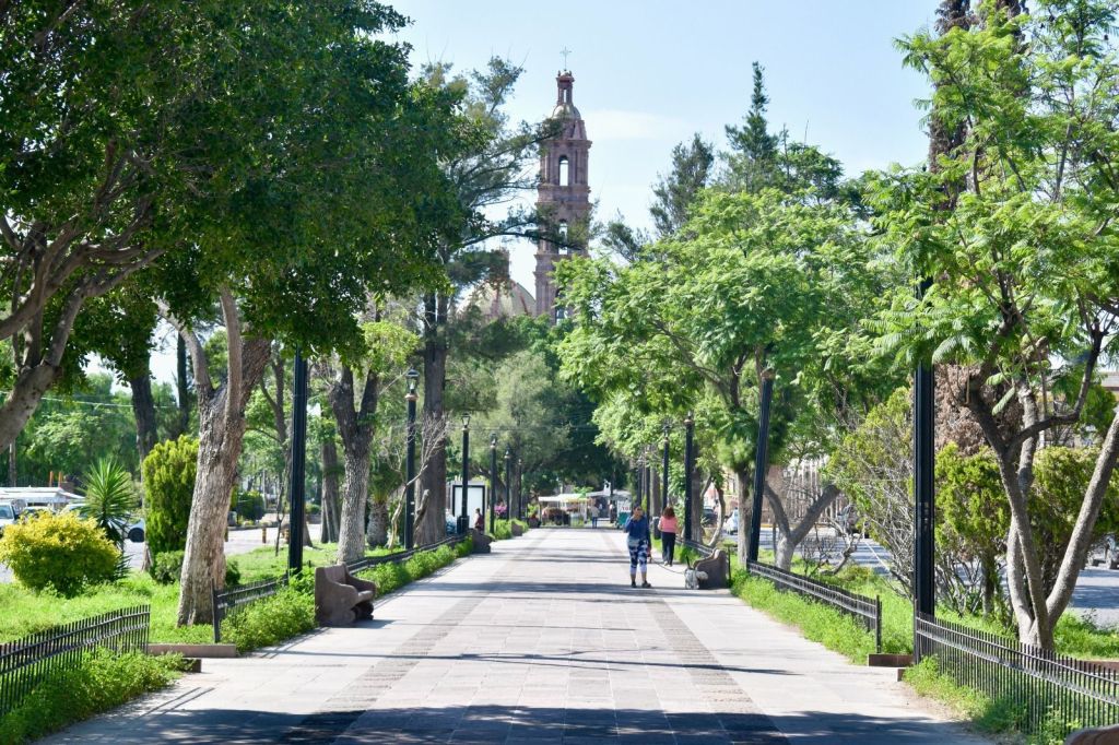 Gobierno de la Capital repara el mobiliario urbano en la Calzada de&nbsp;Guadalupe