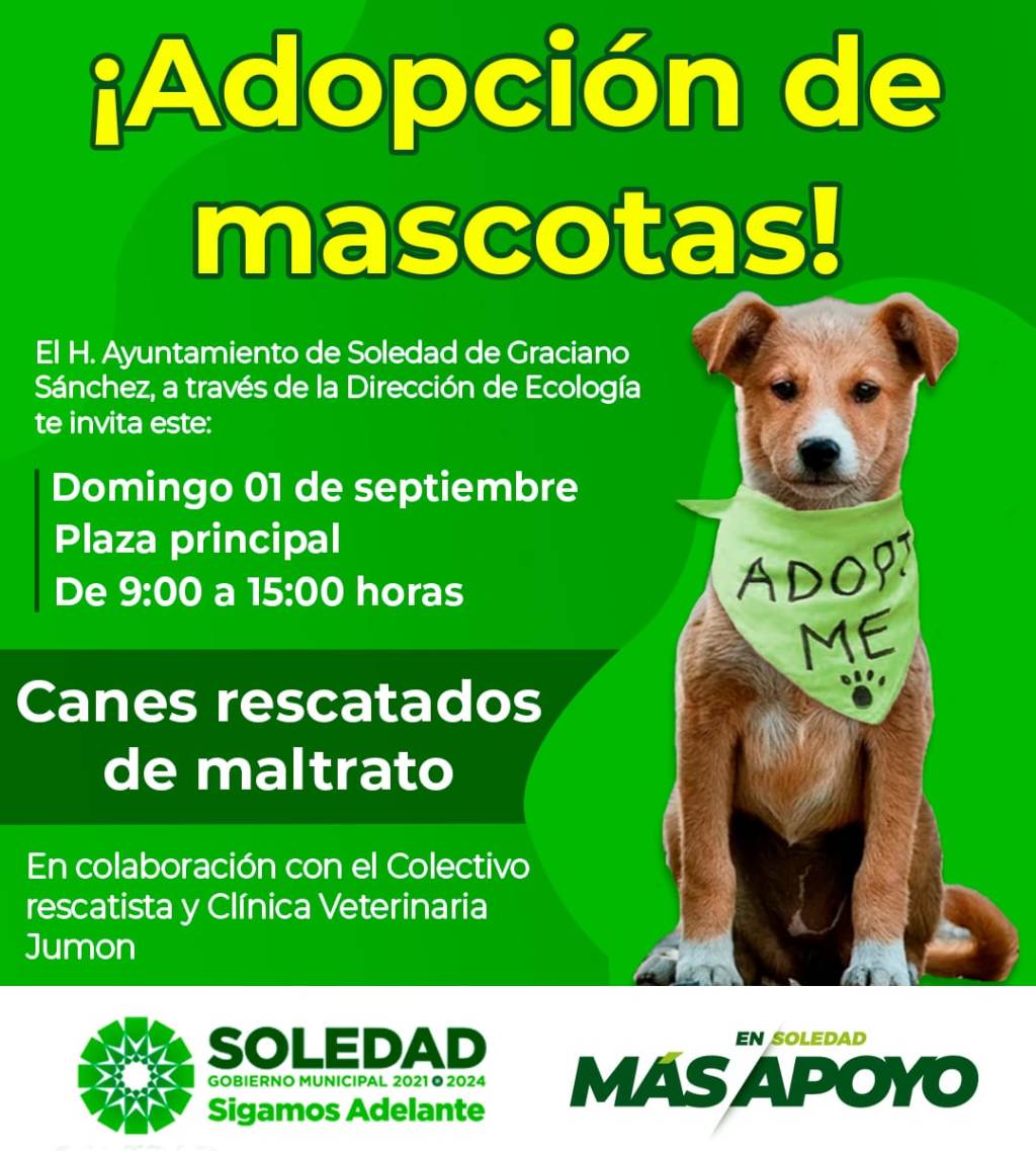 AYUNTAMIENTO DE SOLEDAD INVITA A JORNADA DE ADOPCIÓN DE MASCOTAS, ESTE&nbsp;DOMINGO