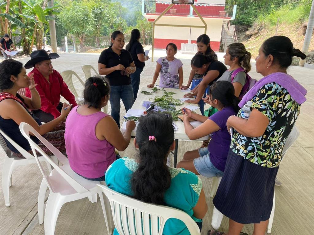 EL ESTADO PROMUEVE LA MEDICINA TRADICIONAL ENTRE JÓVENES PUEBLOS&nbsp;ORIGINARIOS