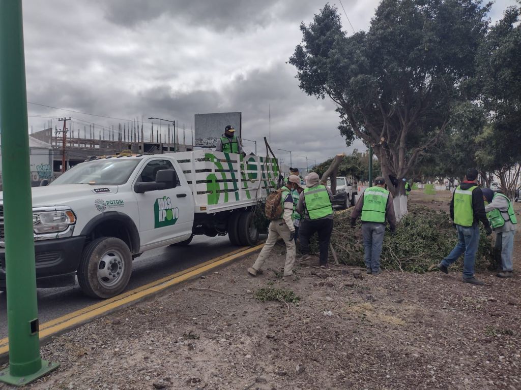 CUADRILLAS OPERATIVAS DE SOLEDAD RECOLECTAN MÁS DE 40 TONELADAS DE RESIDUOS EN LIMPIEZA EN CARRETERA A&nbsp;MATEHUALA