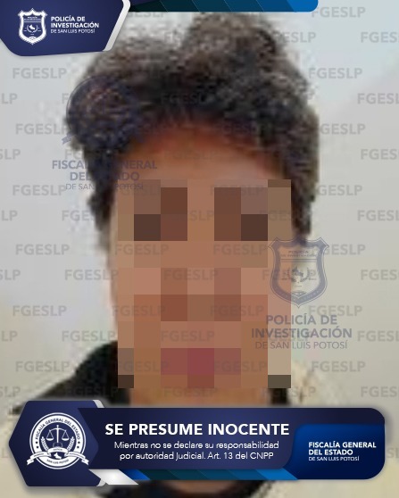 POR USURPACIÓN DE FUNCIONES PÚBLICAS PDI DETIENE A&nbsp;MUJER