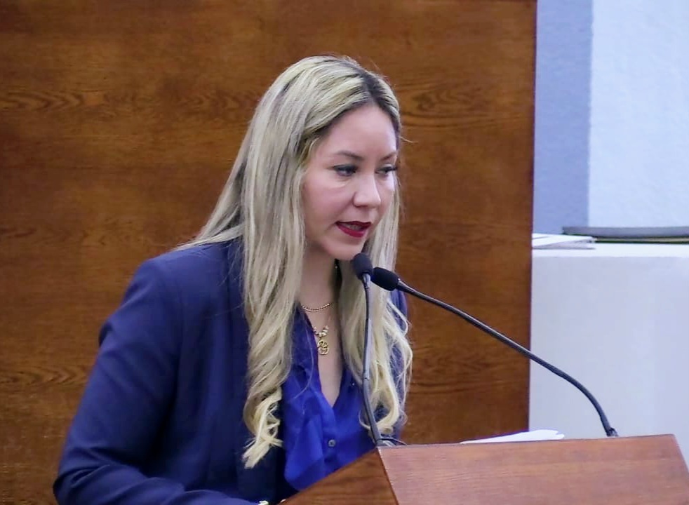 DULCELINA SÁNCHEZ PRESENTÓ INICIATIVA DONDE PROHIBE A LAS PERSONAS QUE HAYAN SIDO SANCIONADOS POR VIOLENCIAQUE LABOREN EN REFUGIOS PARA MUJERES VÍCTIMAS DE&nbsp;VIOLENCIA