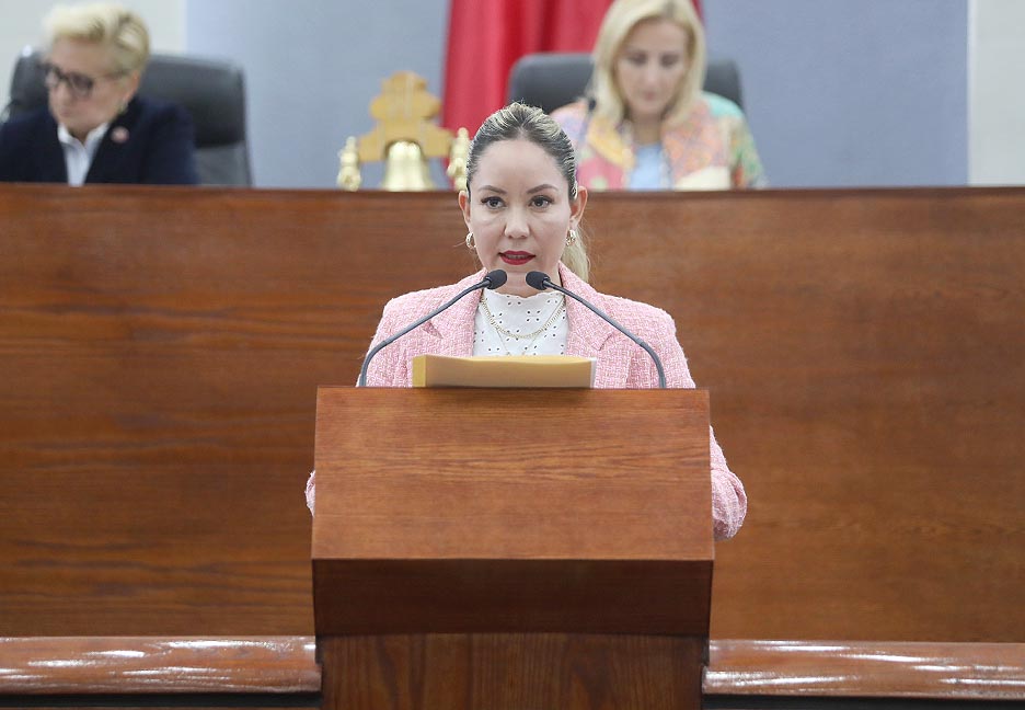 BUSCAN GARANTIZAR QUE LOS REFUGIOS DESTINADOS A MUJERES QUE SON VÍCTIMAS DE VIOLENCIA, SEAN ESPACIOS SEGUROS Y LIBRES DE&nbsp;REVICTIMIZACIÓN