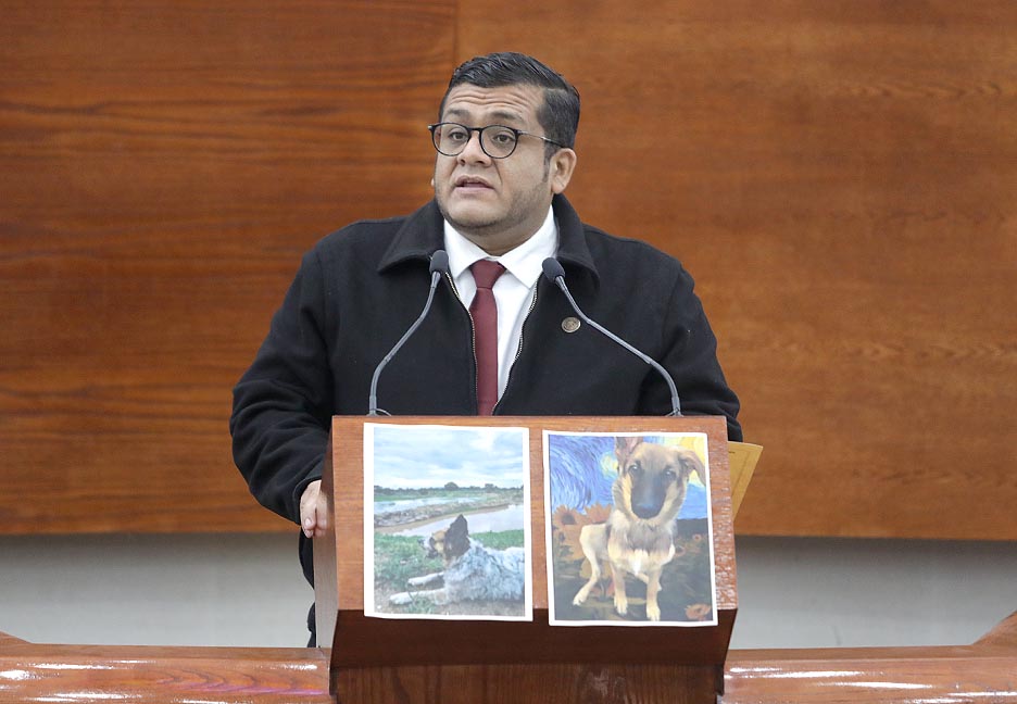 LA REFORMA CONSTITUCIONAL GARANTIZA QUE EL ESTADO ASUMA LA OBLIGACIÓN DE IMPLEMENTAR POLÍTICAS PÚBLICAS PARA LA PROTECCIÓN Y EL CUIDADO DE LOS&nbsp;ANIMALES