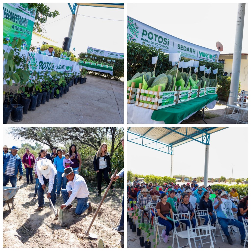 MUJERES RECIBEN APOYO PARA IMPULSAR PROYECTOS AGRÍCOLAS 