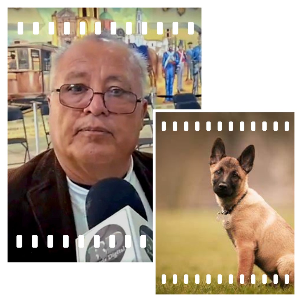 PROTECCION CIVIL CONTARÁ CON UN NUEVO ELEMENTO «SALADIN» EL CACHORRO PASTOR VELGA QUE SERA ENTRENADO PARA BÚSQUEDA Y RESCATE DE PERSONAS. MARTIN GALICIA BRAVO DR.DE PROTECCIÓN CIVIL&nbsp;SGS.