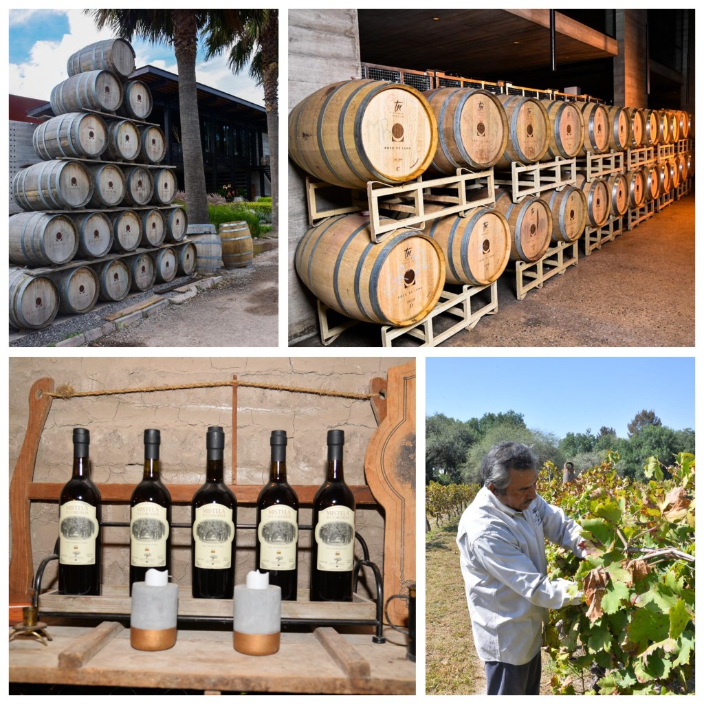 SOLEDAD DE GRACIANO SÁNCHEZ DESTACA COMO DESTINO VITIVINÍCOLA CON PROYECCIÓN&nbsp;INTERNACIONAL