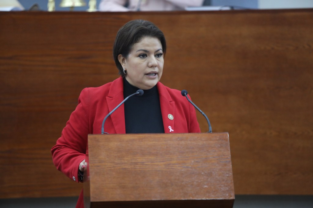 SE DEBEN SUMAR ESFUERZOS PARA BRINDAR APOYO A DEPORTISTAS DE ALTO RENDIMIENTO EN EL ESTADO: DIP. MIREYA VANCINI&nbsp;VILLANUEVA