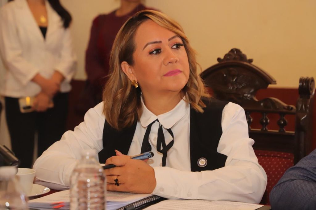 Prohibir venta de pirotecnia protegerá a la población, animales y el medio ambiente: Regidora Maritza&nbsp;Vázquez