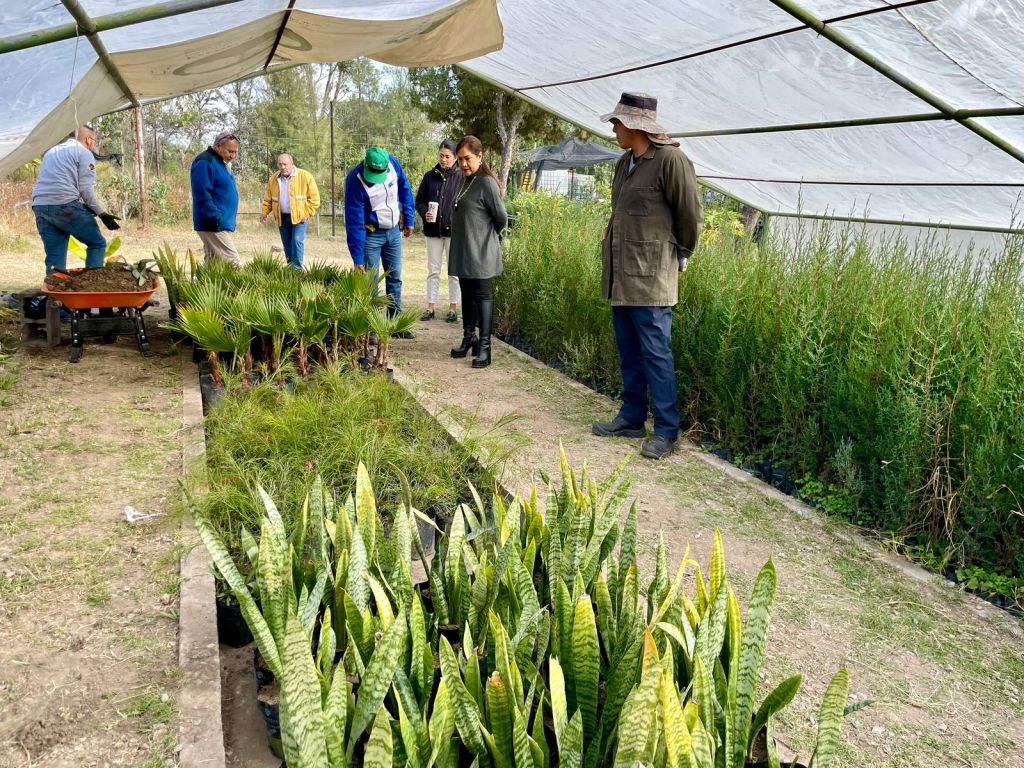 GOBIERNO DEL ESTADO FORTALECERÁ ACCIONES DE REFORESTACIÓN 