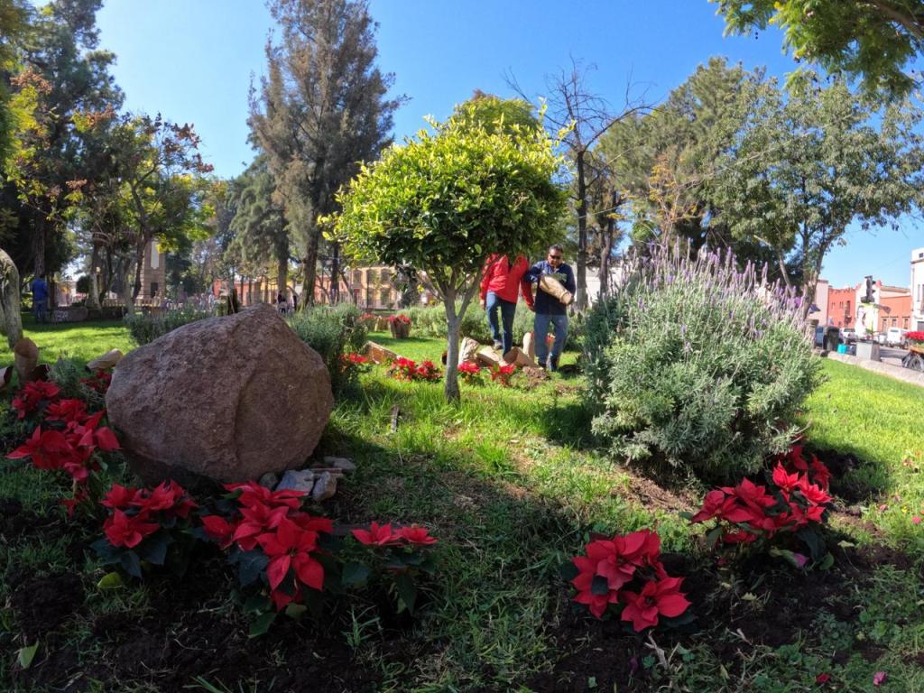 Gobierno de la Capital planta nochebuenas en el Jardín&nbsp;Colón