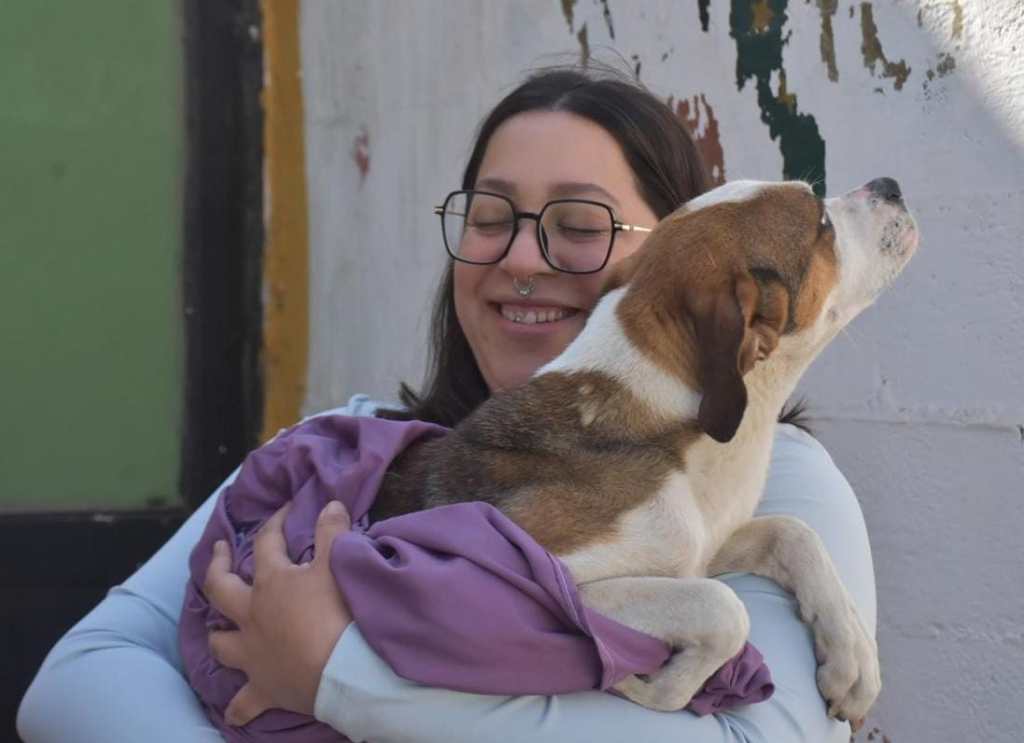 ECOLOGÍA DE SOLEDAD EXHORTA A FORTALECER LA PROTECCIÓN ANIMAL DURANTE TEMPORADA&nbsp;NAVIDEÑA