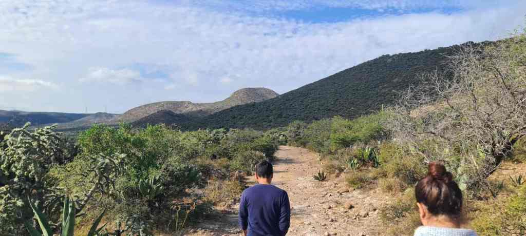 GOBIERNO ESTATAL Y ASOCIACIONES REFORESTARÁN SIERRA DE&nbsp;ÁLVAREZ