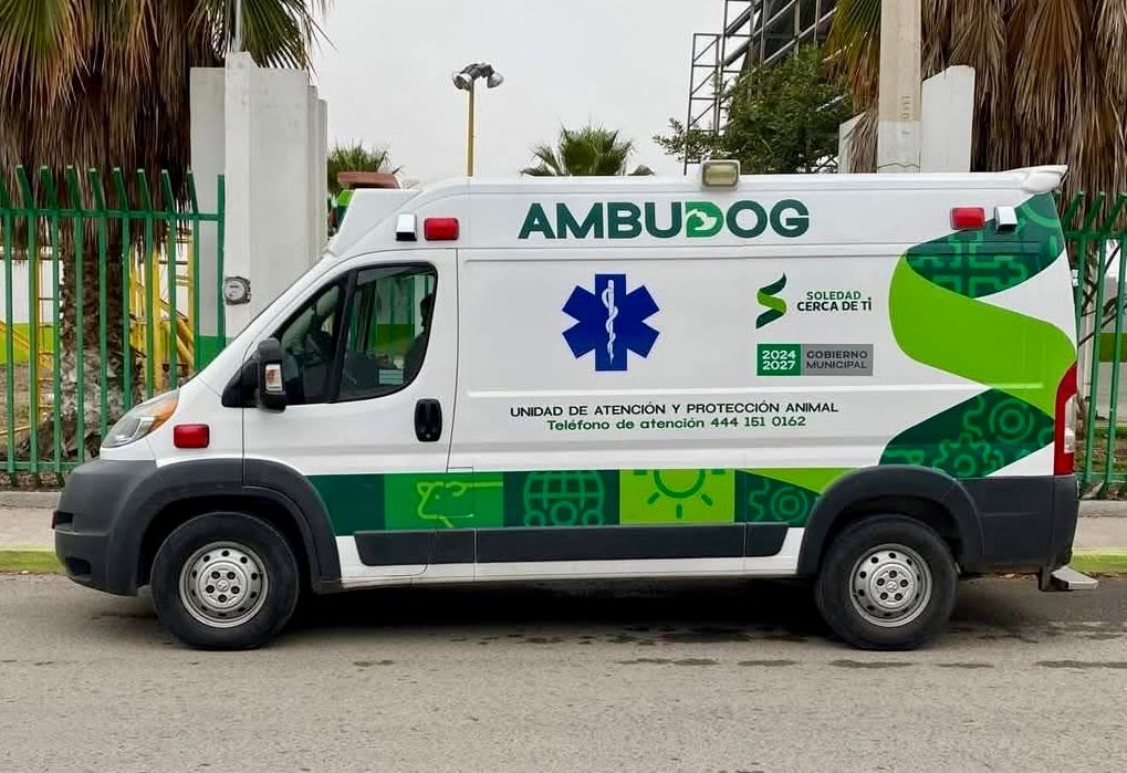 COMPROMETIDOS CON LA SALUD DE LAS MASCOTAS, AMBUDOG SIGUE RECORRIENDO COLONIAS DE SOLEDAD PARA OFRECER ATENCIÓN&nbsp;GRATUITA
