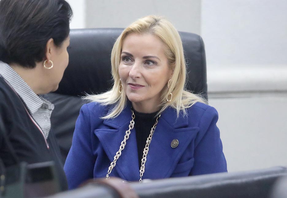 SE REALIZARÁN MESAS DE TRABAJO ENTRE CON LA SECRETARIA DE TURISMO Y PRESTADORES DE SERVICIOS TURÍSTICOS DEL ESTADO PARA FORTALECER LAS ACCIONES DE PROMOCIÓN TURÍSTICA: DIP. ARANZAZU&nbsp;PUENTE.