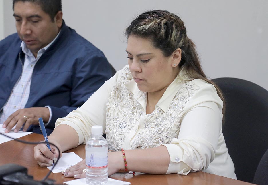BUSCAN FORTALECER EL APOYO A LOS MIGRANTES: DIP. DIANA RUELAS&nbsp;GAITÁN