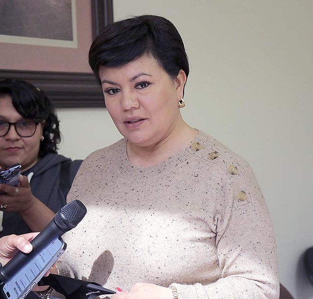 DIP. MIREYA VANCINI VILLANUEVA IMPULSARÁ UNA INICIATIVA PARA PROMOCIÓN DE LA LACTANCIA&nbsp;MATERNA.