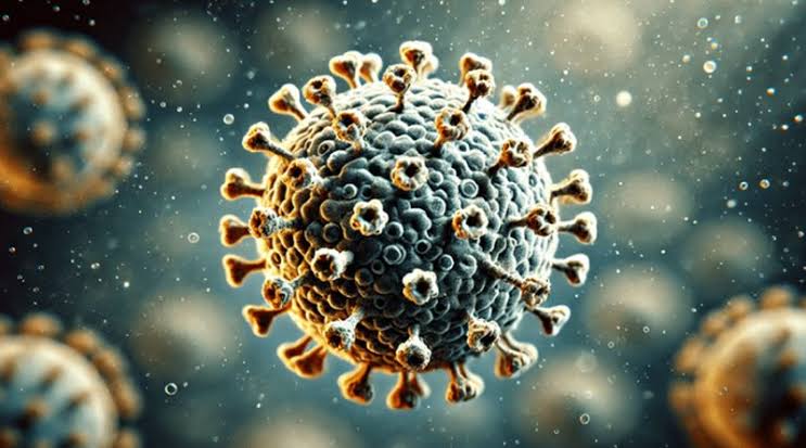 CONFIRMAN EL PRIMER CASO DE METAPNMOVIRUS EN&nbsp;SLP