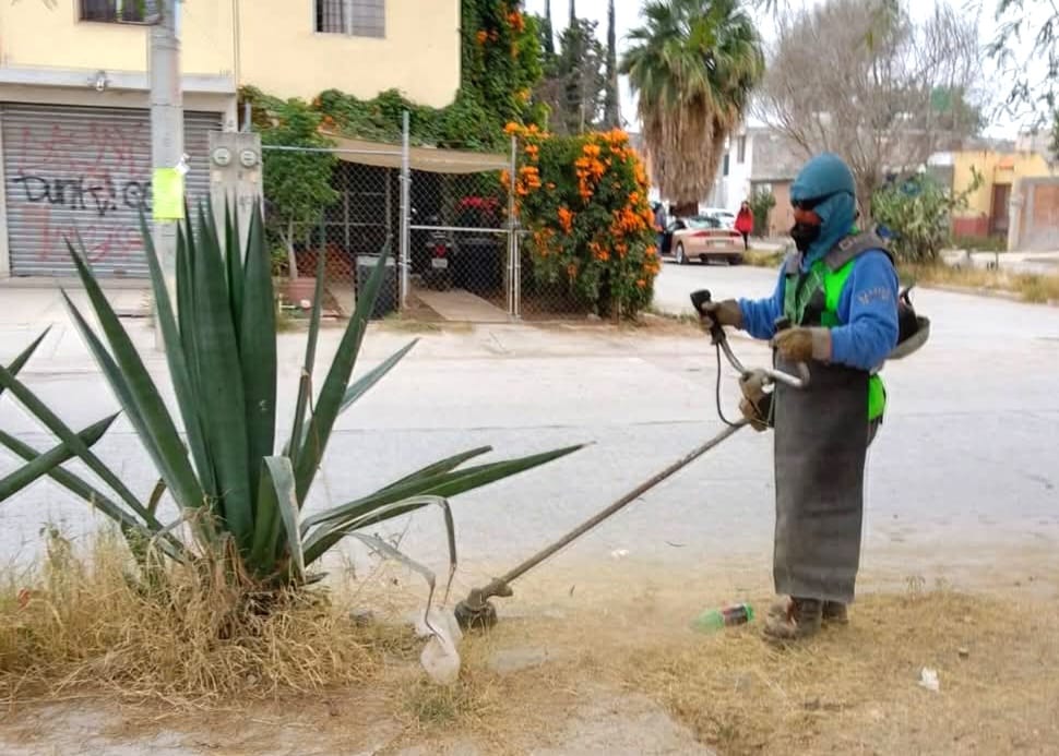 MUNICIPIO DE SOLEDAD APLICA REESTRUCTURA PARA EFICIENTAR LIMPIEZA EN CALLES Y&nbsp;AVENIDAS