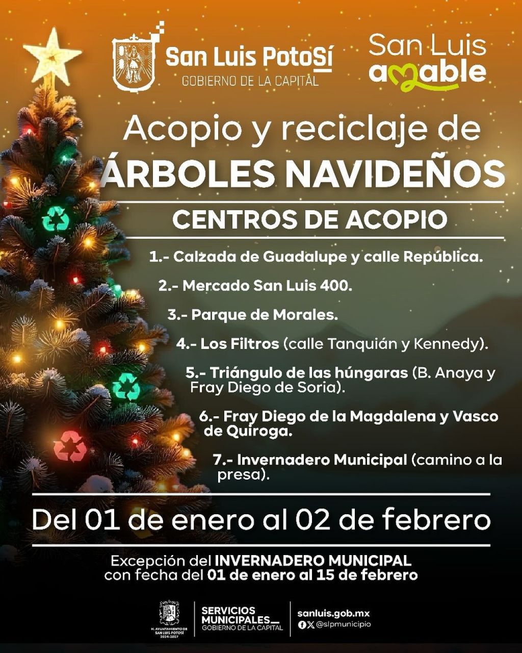 Ayuntamiento de SLP pone en operación los centros de acopio de árboles navideños&nbsp;naturales