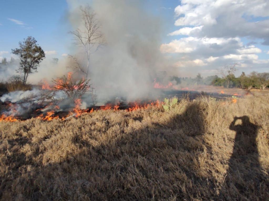 CONTROLADO EL INCENDIO EN PARQUE TANGAMANGA&nbsp;I