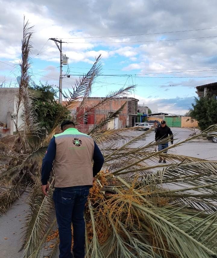 PROTECCIÓN CIVIL DE SOLEDAD ATENDIÓ 7 REPORTES POR FUERTES RACHAS DE VIENTO, Y MANTIENE&nbsp;ALERTA