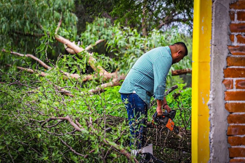 ISMAEL HERNÁNDEZ INICIARÁ OPERATIVO DE RETIRO DE ÁRBOLES, ANTE FUERTES&nbsp;VIENTOS