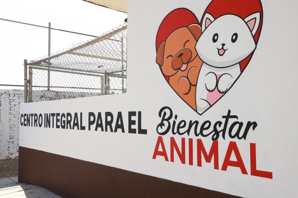 Supera Centro Integral para el Bienestar Animal del Gobierno de la Capital las más de 570&nbsp;intervenciones