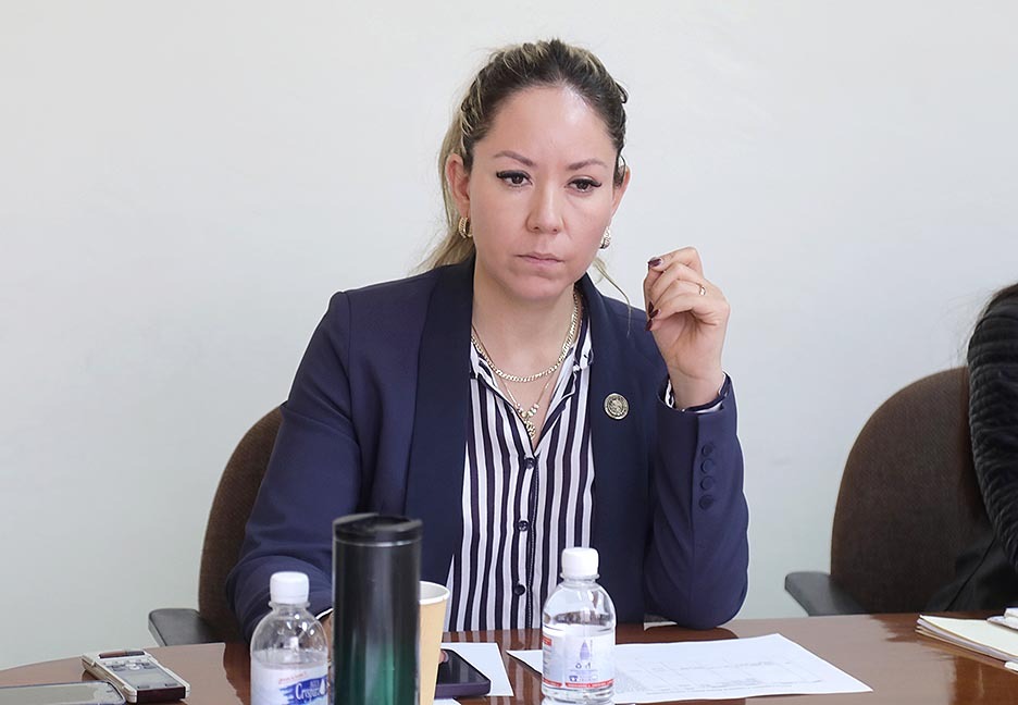 CIUDADANOS DEBEN APROVECHAR LOS DESCUENTOS APLICABLES DURANTE EL MES DE ENERO EN EL PAGO DEL IMPUESTO PREDIAL Y PONERSE AL CORRIENTE: DIP. DULCELINA SÁNCHEZ DE&nbsp;LIRA