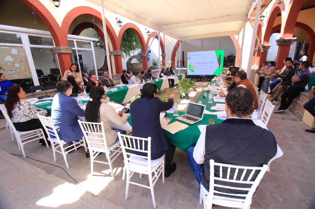 COPLADEM AVALA PLAN MUNICIPAL DE DESARROLLO 2024-2027 DE VILLA DE&nbsp;POZOS