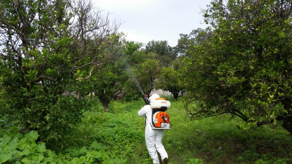 GOBIERNO ESTATAL COMBATE PLAGAS EN APOYO A PRODUCTORES DEL&nbsp;CAMPO