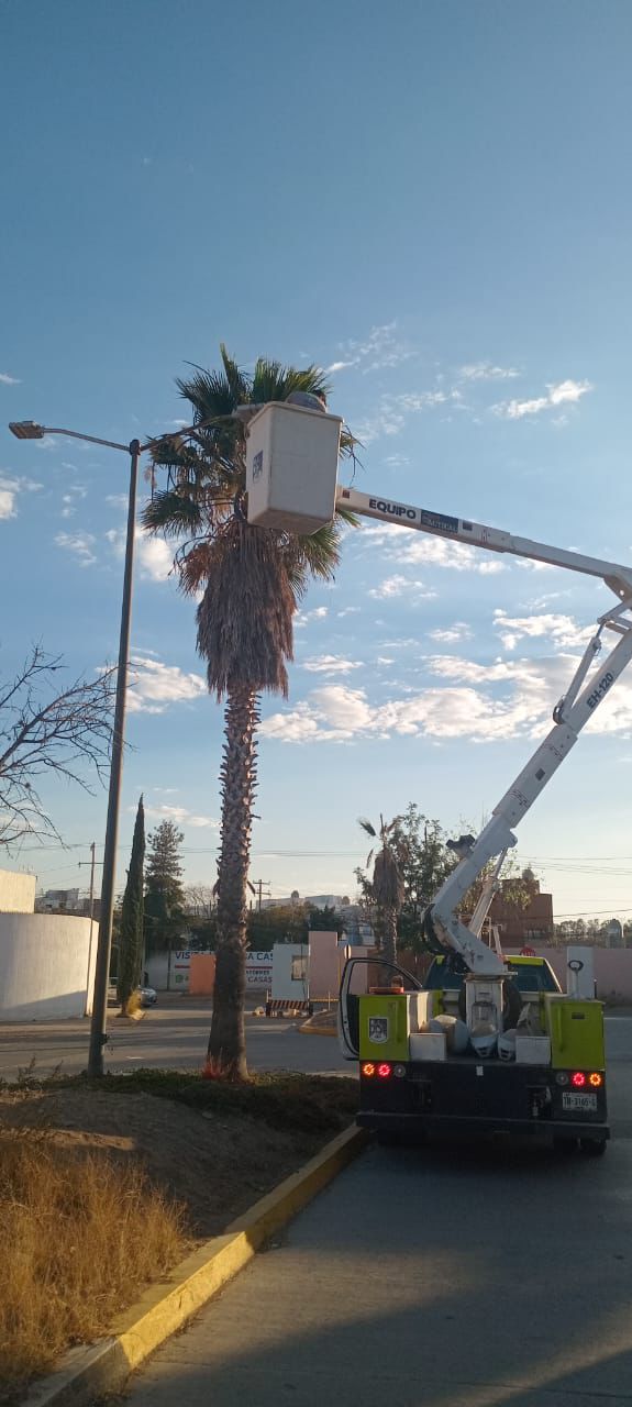 Gobierno de la Capital continúa con la modernización del alumbrado&nbsp;público