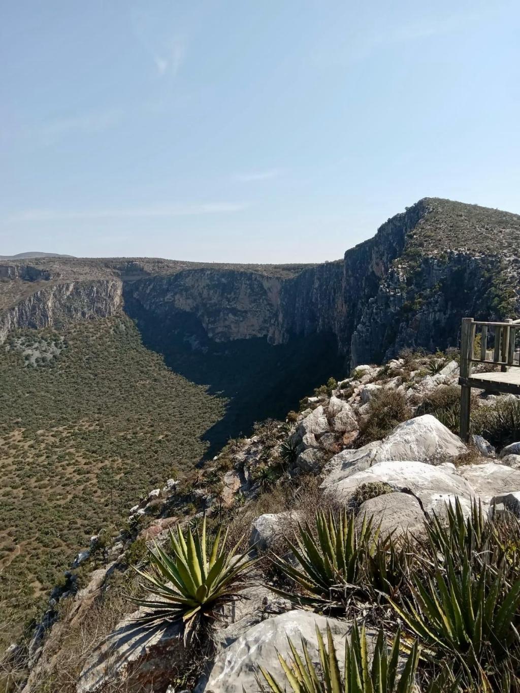 EJECUTIVO ESTATAL REALIZA LIMPIEZA DEL ÁREA NATURAL PROTEGIDA JOYA&nbsp;HONDA