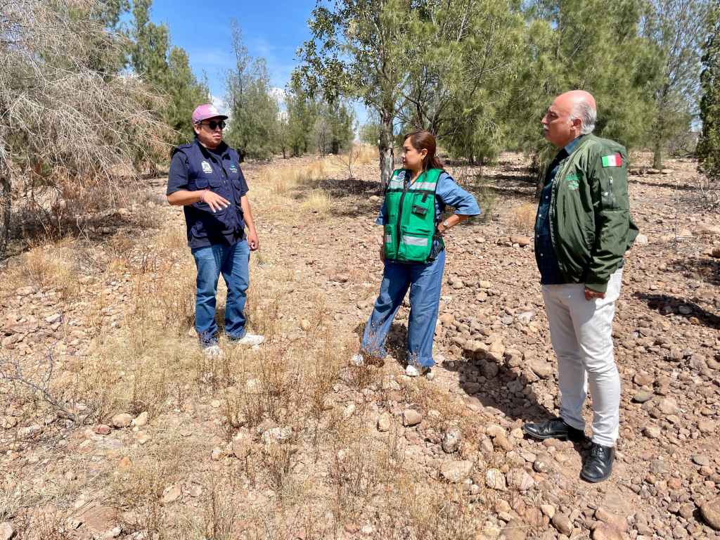 EJECUTIVO ESTATAL ARRANCARÁ PROGRAMA SEMBRANDO VIDA EN EL&nbsp;DESIERTO