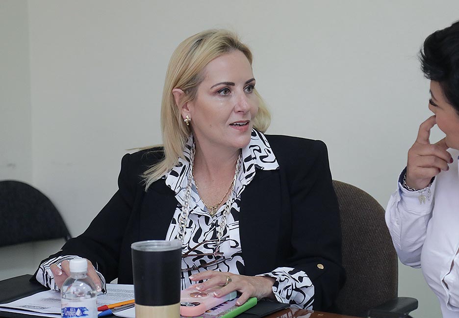 LAS EMPRESAS PRESTADORAS DE SERVICIOS TURÍSTICOS DEBERÁN CUMPLIR CON TODAS LAS NORMAS DE SEGURIDAD PARA PROTECCIÓN DE LOS VISITANTES: DIP. MARÍA ARANZAZU PUENTE&nbsp;BUSTINDUI