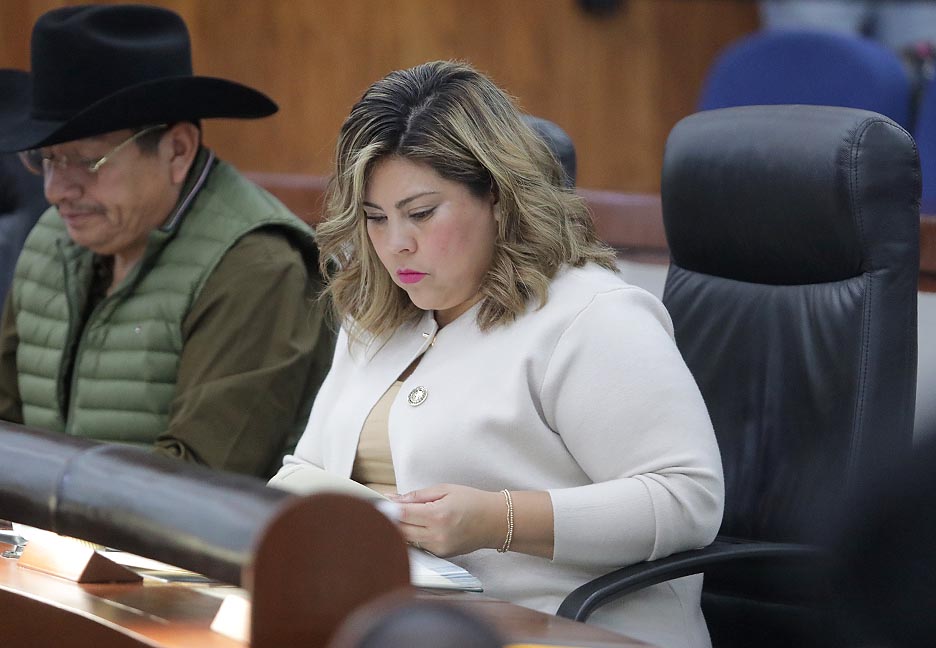 ES URGENTE QUE AL AYUNTAMIENTO DE LA CAPITAL IDENTIFIQUE LOS ÁRBOLES QUE SE ENCUENTRAN EN RIESGO DE COLAPSO TOTAL O PARCIAL: DIP. DIANA RUELAS&nbsp;GAITÁN