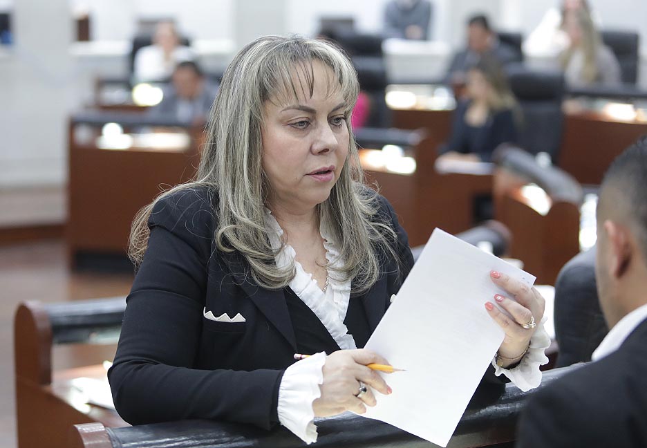 ES IMPORTANTE FORTALECER LOS MECANISMOS LEGALES PARA ASEGURAR OPORTUNIDADES LABORALES INTEGRALES PARA LAS Y LOS POTOSINOS: DIP. SARA ROCHA&nbsp;MEDINA