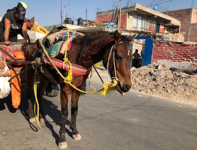 Entrada sin título 74018