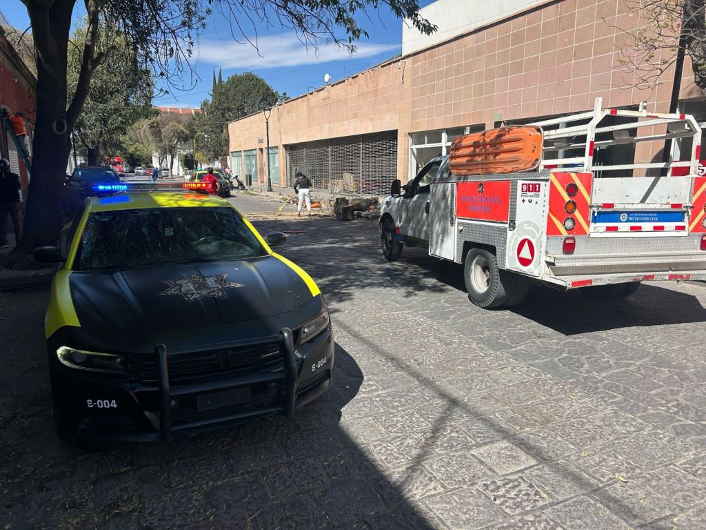 Gobierno de la Capital atiende caída de árbol en calle&nbsp;Arista