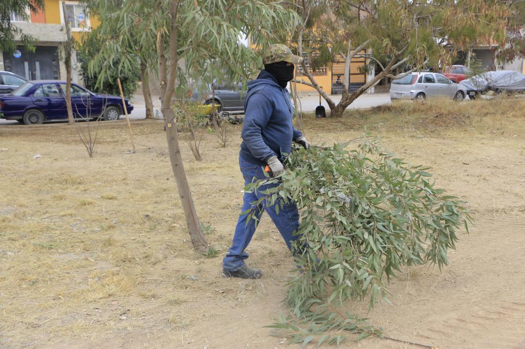 VILLA DE POZOS PREVIENE RIESGOS ANTE RÁFAGAS DE&nbsp;VIENTO
