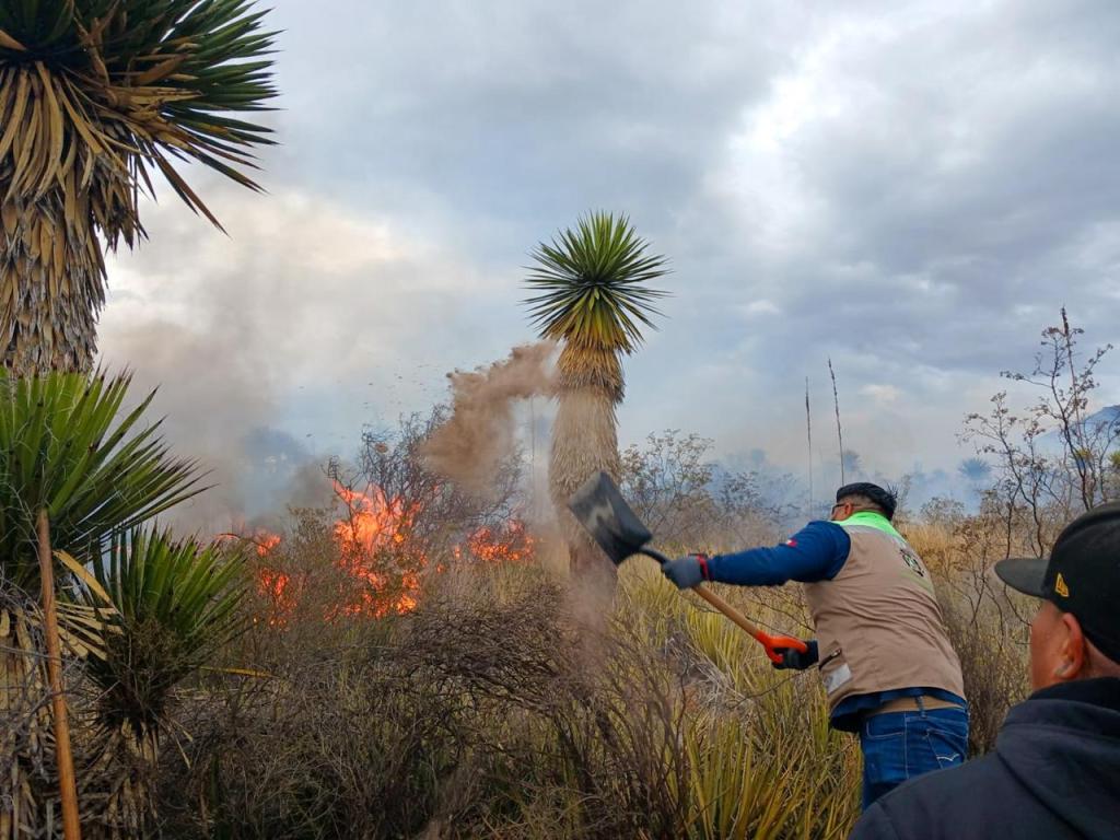 PROTECCIÓN CIVIL DE SOLEDAD DE GRACIANO SÁNCHEZ EMITE MEDIDAS PREVENTIVAS PARA EVITAR&nbsp;INCENDIOS