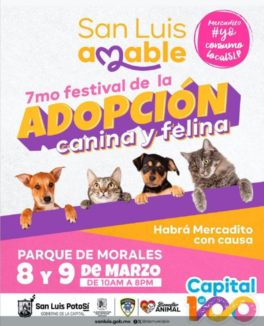 Este sábado y domingo, Gobierno de la Capital invita al 7° Festival de la Adopción Canina y&nbsp;Felina
