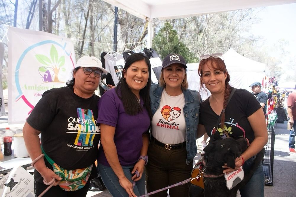 Gracias a la ciudadanía, festivales municipales de adopción dan hogar a más de 390 gatitos y perritos