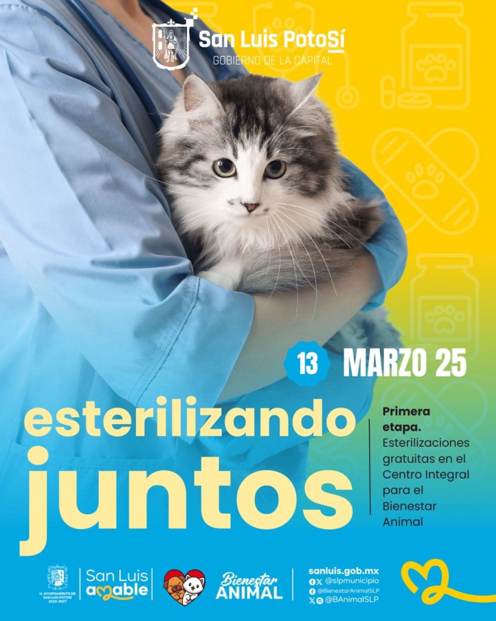 Arranca campaña municipal “Esterilizando Juntos”, como parte del fomento del bienestar animal