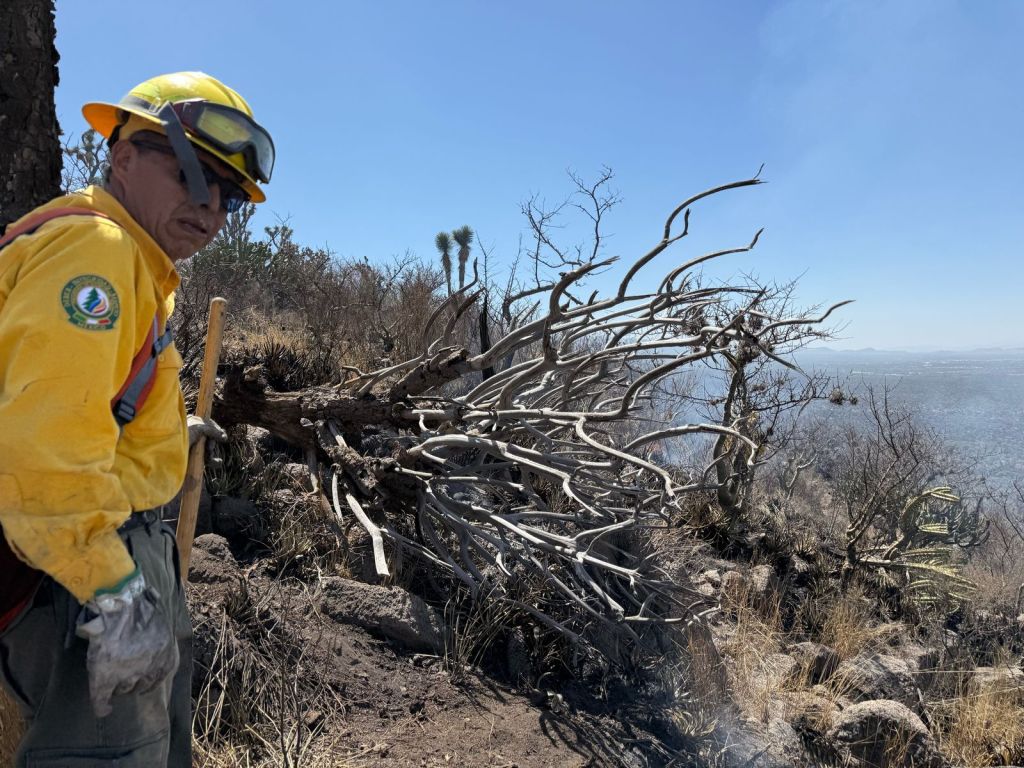 GOBIERNO DEL ESTADO TRABAJA EN EL COMBATE DE LOS INCENDIOS FORESTALES EN EL ESTADO