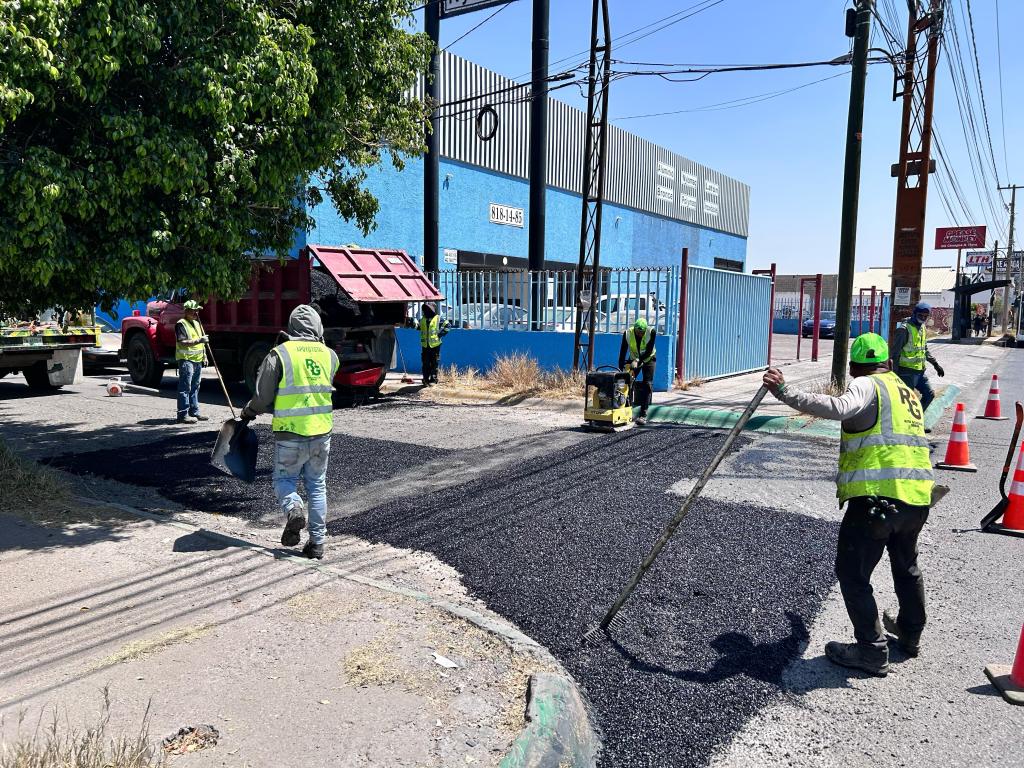 Entrada sin título 74263