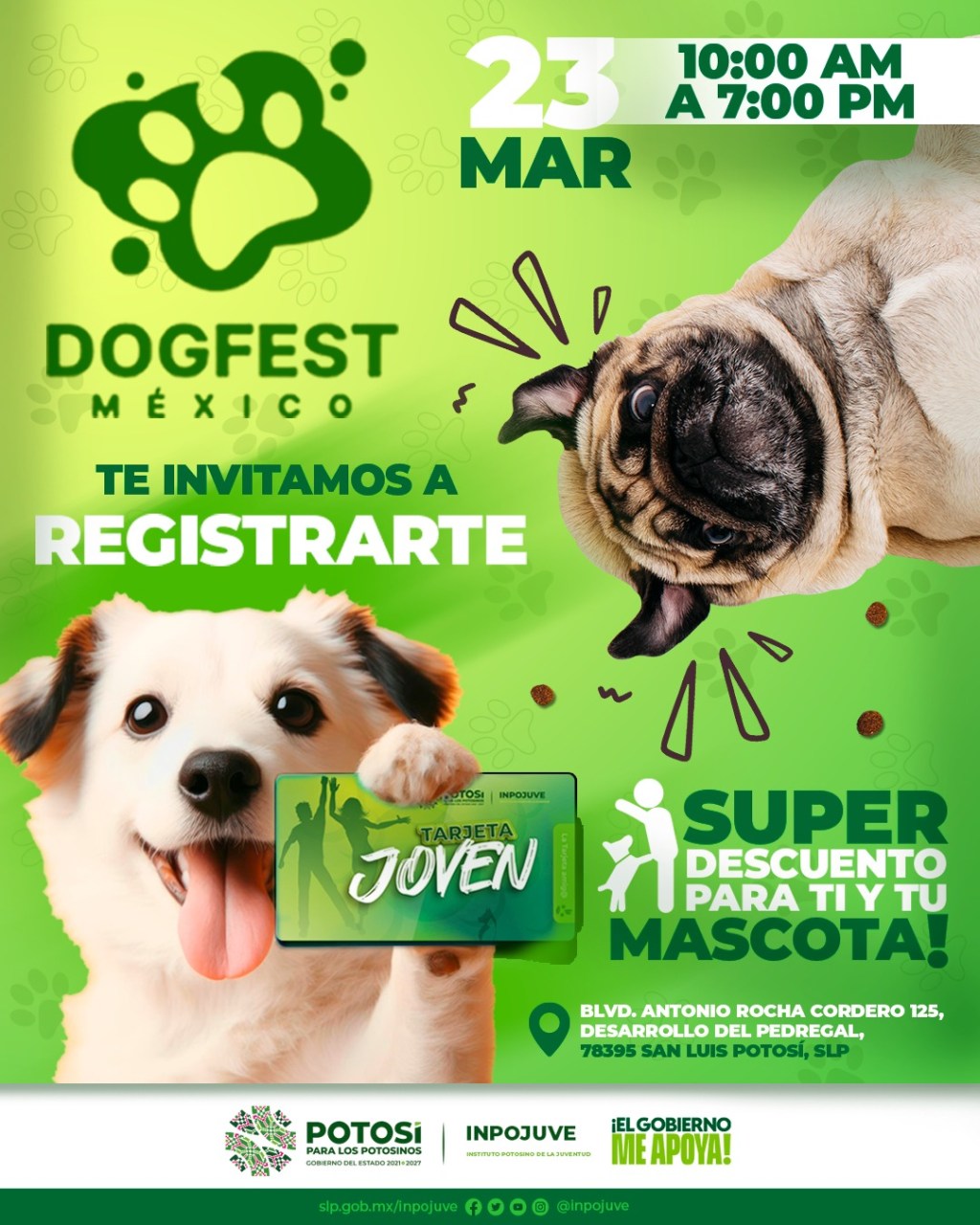 GOBIERNO ESTATAL AMPLÍA APOYO DE TARJETA JOVEN CON BENEFICIOS PARA MASCOTAS