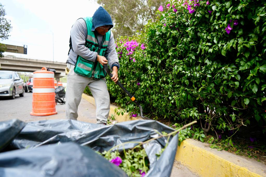REALIZAN MANTENIMIENTO INTEGRAL EN ACCESO PRINCIPAL DE VILLA DE&nbsp;POZOS