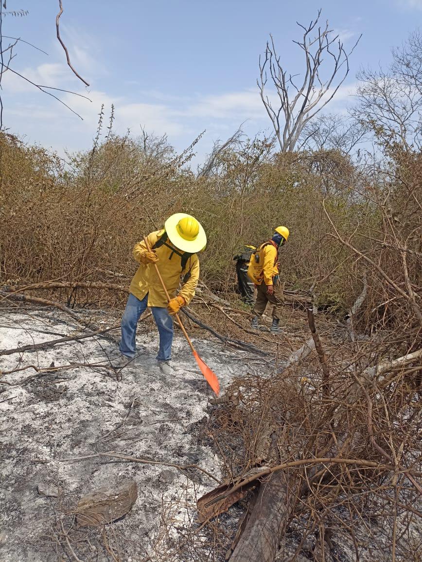 REPORTAN MÁS AVANCES EN EL COMBATE A INCENDIOS EN EL ESTADO