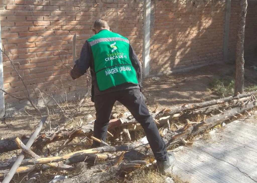 AYUNTAMIENTO DE SOLEDAD MEJORA ESPACIOS EDUCATIVOS CON LIMPIEZA Y MANTENIMIENTO INTEGRAL